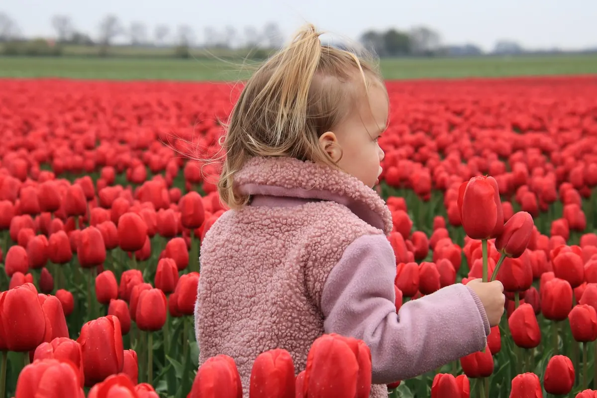 How to Store Tulip Bulbs Over Summer: A Step-by-Step Guide